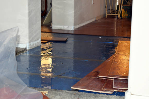Professional Flood Cleanup technician working in Chase, PA